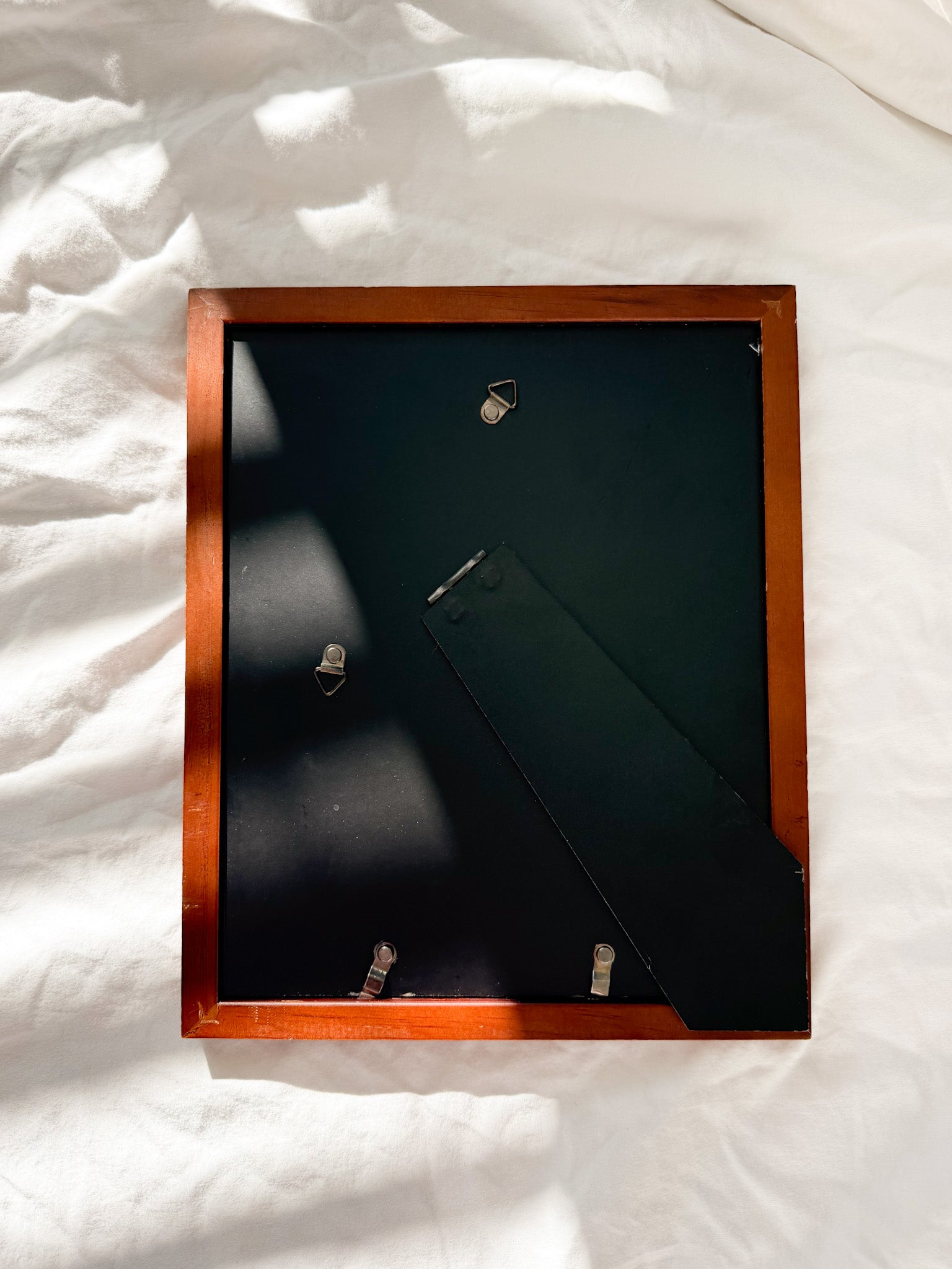 "Joy To The World" Framed Print