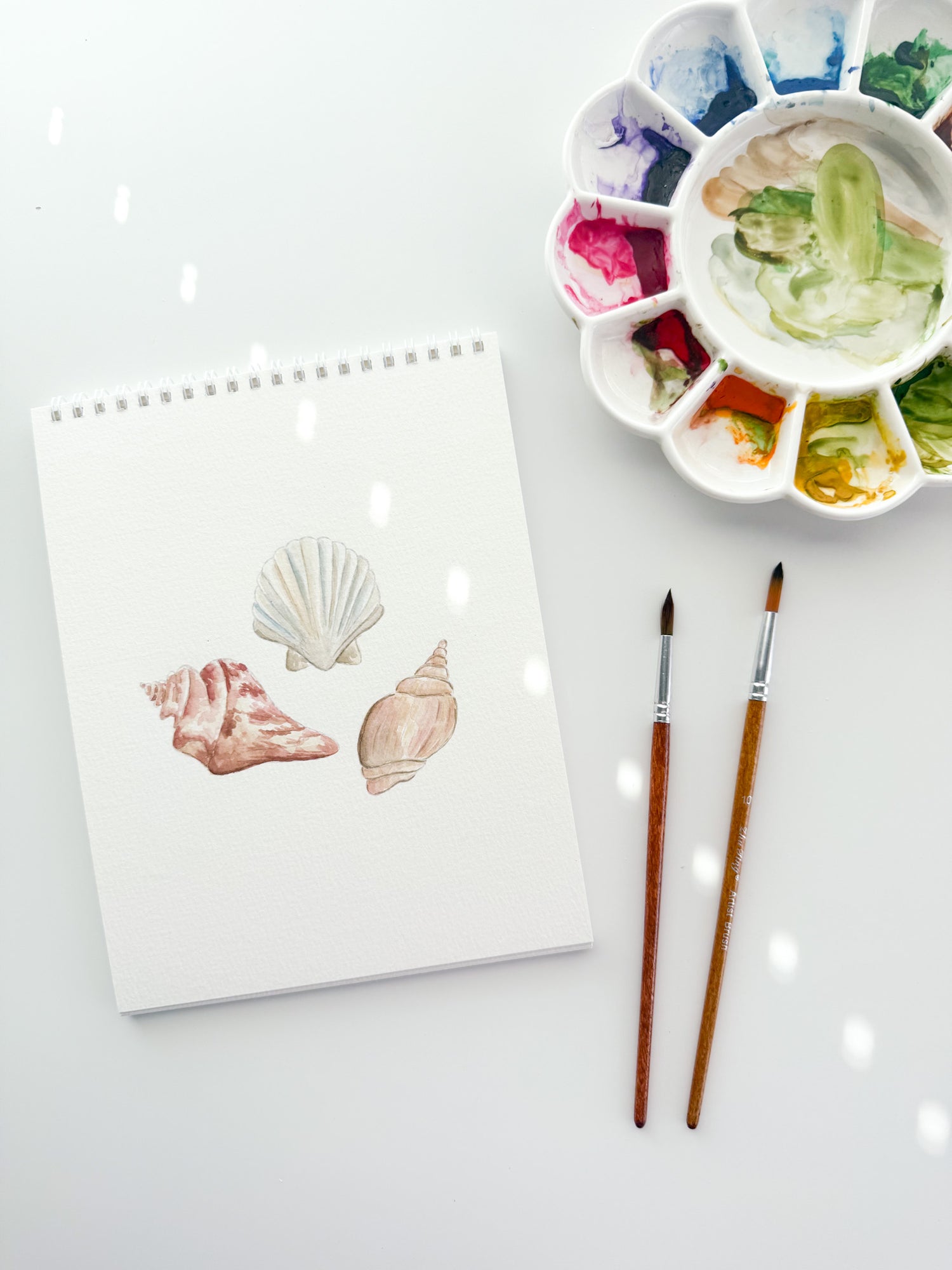 Sails &amp; Seashells Watercolor Workbook