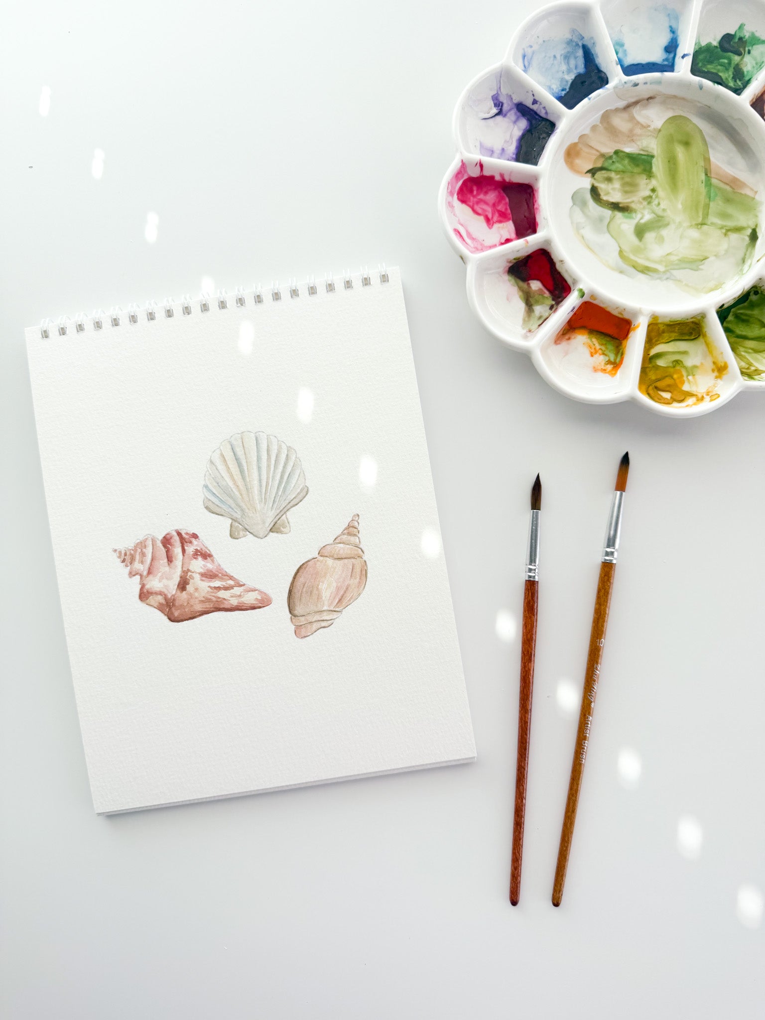 Sails &amp; Seashells Watercolor Workbook
