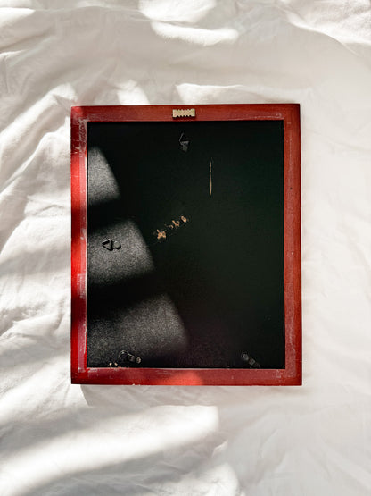 "Evergreen" Framed Original